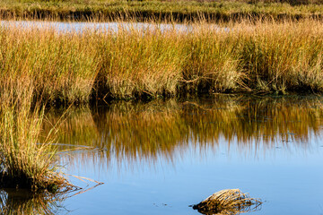 Salt Water Pond