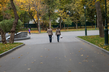 Two girls dressed alike are walking along the alley of the autumn park..