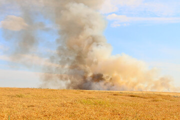 Fototapeta na wymiar Canicule, champs en feu en milieu rural
