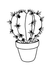 Cactus in the pot hand drawn. Vector illustration