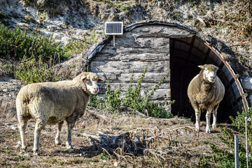 Champagne region in France: Reims, Champillon, Épernay, Châtillon-sur-Marne © Jakub