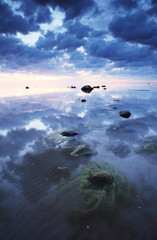 Clouds reflecting on the Baltic sea on a calm summer evening in coastal Estonia, Northern Europe. 