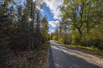 Fototapeta na wymiar Beautiful autumn forest landscape view. Widening road and meeting place for cars. 