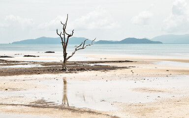 Koh Mak beach  © Dagmara Bartnik