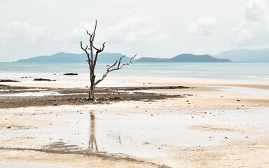 Koh Mak beach
