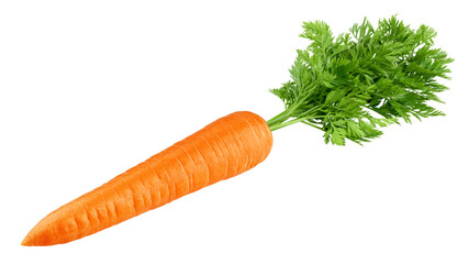 carrot isolated on white background, clipping path, full depth of field