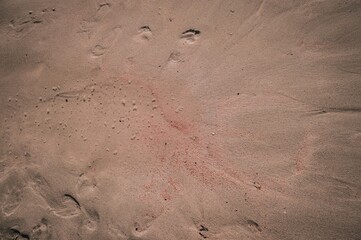 Pink traces on sand