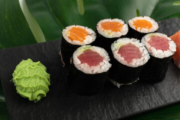 Salmon Hosomaki Sushi or Thin Maki Sushi Rolls Isolated