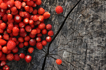 Freshly picked Wild strawberries, Fragaria vesca as a Northern delicacy placed on a wooden stump on a summer evening in Estonia