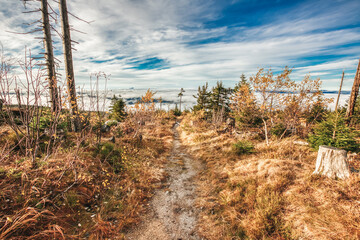 Hiking trail at the Dreisesselberg in Bavaria / Germany.