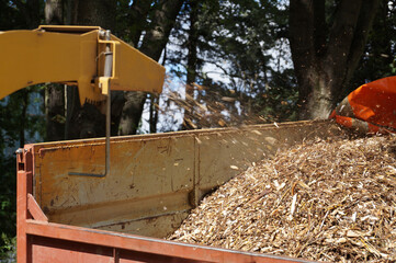 Branch chipper in action. Loading on a truck.