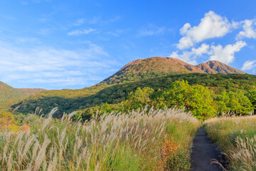 Naklejka premium タデ原湿原と三俣山（秋） くじゅう連山 大分県玖珠郡 Tadehara Wetland and Mt.Mimatayama (autumn) Kujuurenzan Ooita-ken Kusu-gun