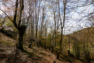Parajes de naturaleza del Monte Adarra