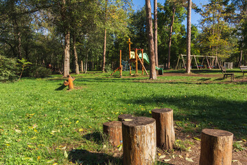 playground among the trees in park