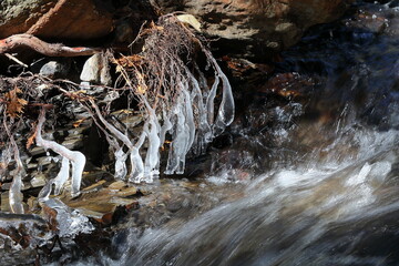 Icy branches over the stream