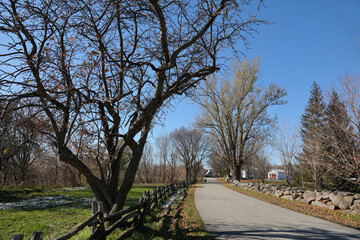road in the countryside