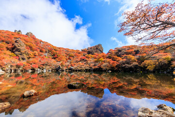 Fototapeta na wymiar 紅葉と御池　大船山　大分県玖珠郡　 Autumn leaves and Oike Mt.Daisenzan Ooita-ken Kusu-gun