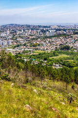Vegetation and Porto Alegre cityview from Morro Santana