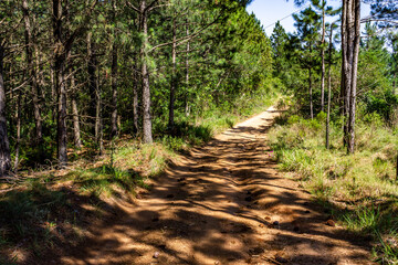 Road over Morro Santana