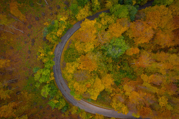 Visegrad, Hungary - Aerial view of curvy road going through the forest, autumn mood, warm autumn colors. Green, red yellow and orange colored trees.