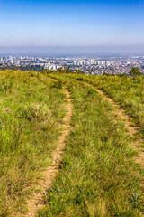 Vegetation and Porto Alegre cityview from Morro Santana