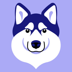 Siberian husky dog. Husky dog head. Dog face muzzle. Purebred. Vector illustration. Dog portrait, mascot, symbol.