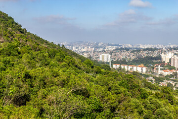 Porto Alegre cityview and forest in Morro Santana