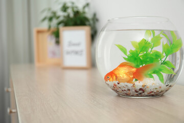 Beautiful bright small goldfish in round glass aquarium on wooden table. Space for text