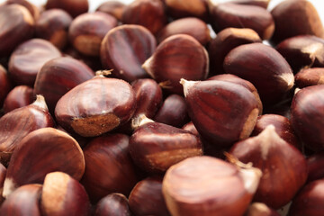Close-up of group of raw chestnuts
