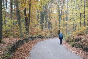 Fototapeta premium Beautiful colorful autumn forest. Silhouette of single walking woman on road.