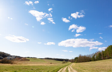 A rural dirt road stretches along bends along the edge of the forest along a field against a blue sky in fine sunny weather. Can be used as a picture for interior decoration.