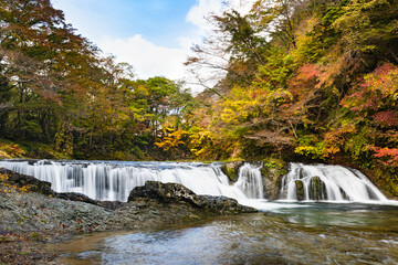 日本　紅葉の浅布渓谷不動の滝
