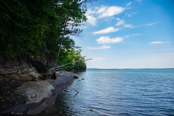 beach hammock