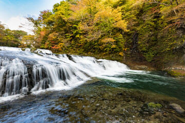 Obraz premium 日本 紅葉の浅布渓谷不動の滝