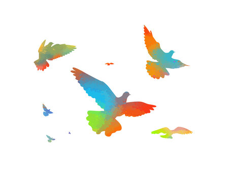 Bird watercolor. A flock of colorful birds. Mixed media. Vector illustration
