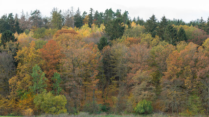 Obraz premium Landschaft im Herbst