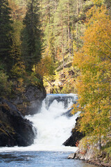 Oulanka National Park, Pieni Karhunkierros hiking trail. Jyrävä waterfall as one of the largest in Finland, shot during autumn foliage.	