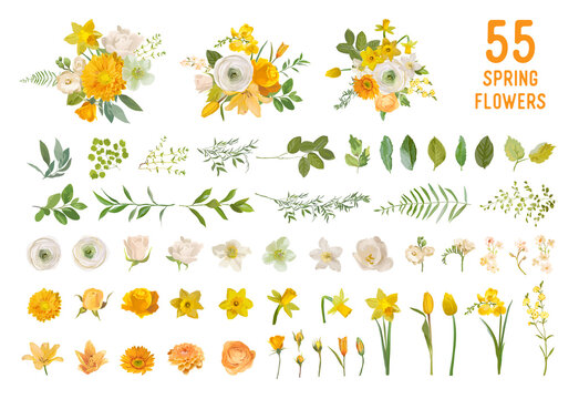 Spring Garden Flowers, Yellow Daffodil, Mustard Rose, White Fresia, Eucalyptus, Greenery, Fern