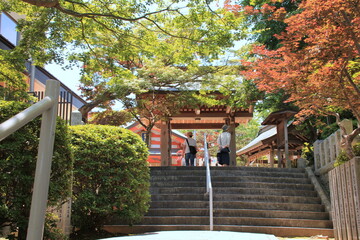 福岡市の紅葉八幡宮山門