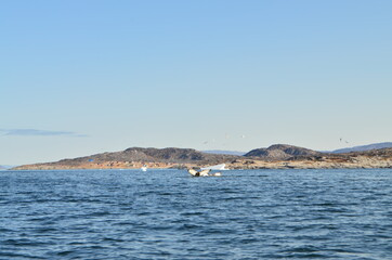 Iluissat, Oqaatsut, Oqaitsut, formerly Rodebay or Rodebaai, Greenland