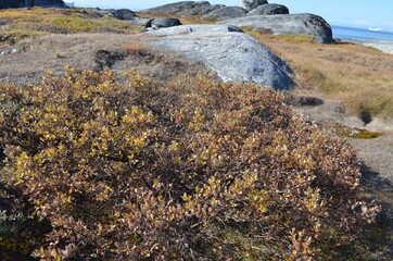 Iluissat, Oqaatsut, Oqaitsut, formerly Rodebay or Rodebaai, Greenland
