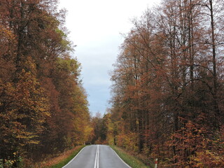 Jesień Autumn