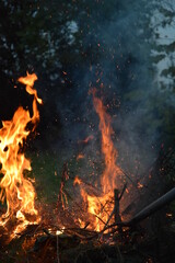 Fototapeta na wymiar Ognisko płonące w ogrodzie