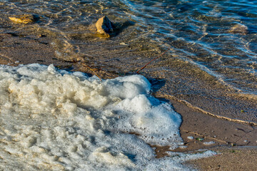 Beach foam on lake shoreline