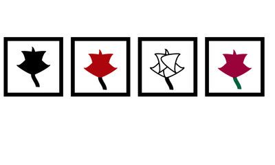 roses in frames black and white 