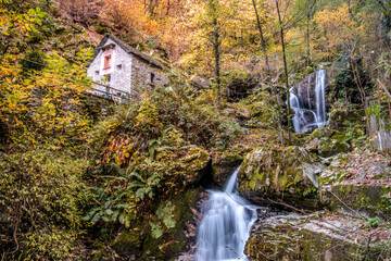 Fototapeta premium vecchio mulino 01 - antico mulino nel folto del bosco autunnale con cascata.