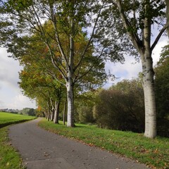 Fototapeta na wymiar Cycle path in Bavaria in Autumn