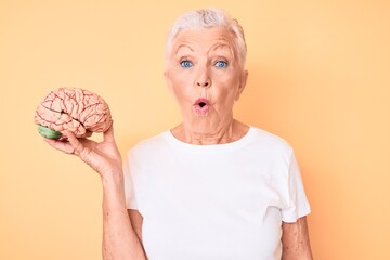 Senior beautiful woman with blue eyes and grey hair holding brain as mental health concept scared...
