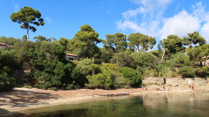 Presqu&rsquo;&icirc;le de Giens &agrave; Hy&egrave;res, plage du port du Niel, bord&eacute;e d'arbres, en &eacute;t&eacute;, au bord de la mer M&eacute;diterran&eacute;e (France)
