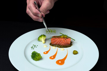 CHEF'S HAND DECORATING A MINIMALIST FOOD DISH.
GOURMET FOOD CONCEPT.
